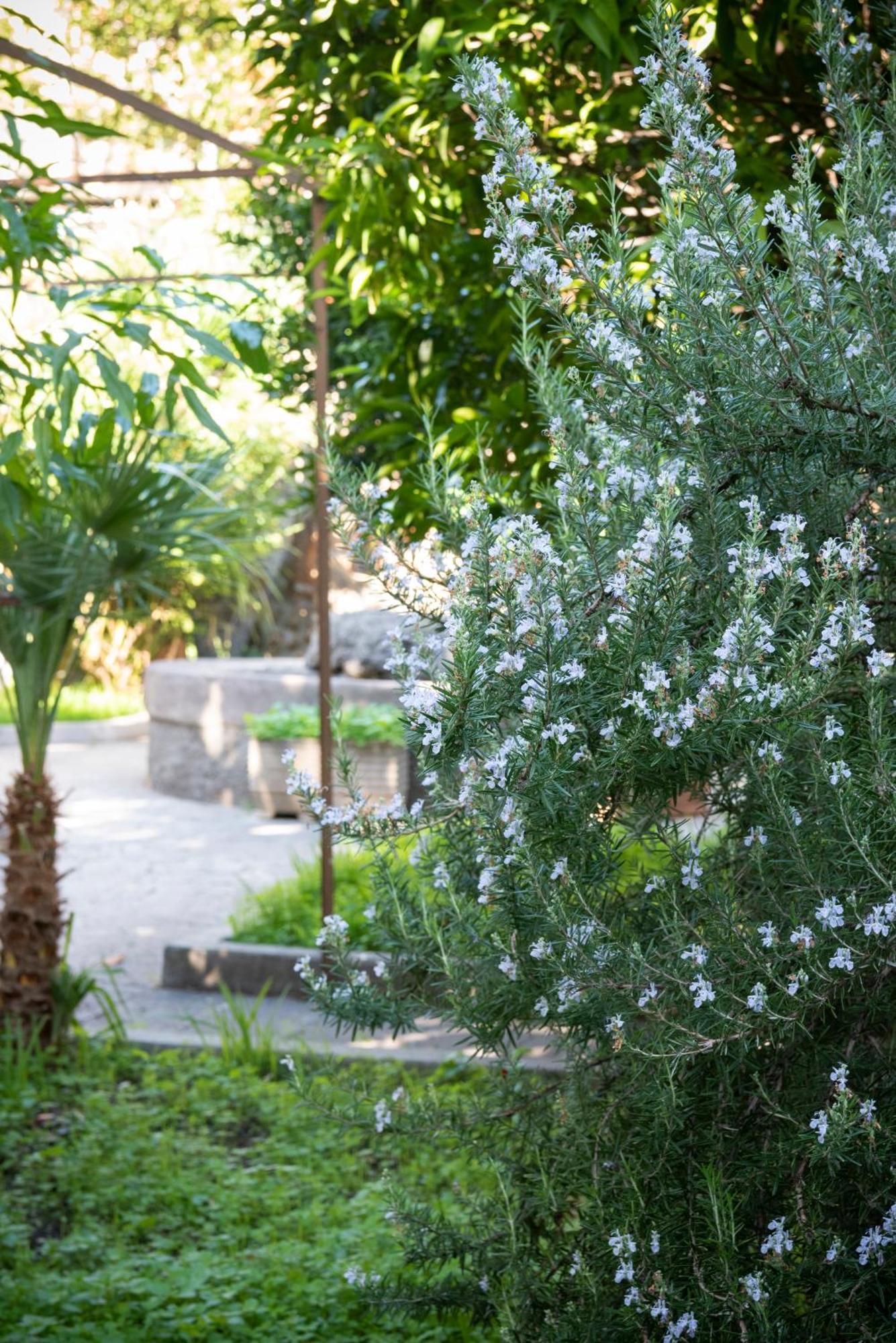 Residenza Leone XIII Hotel Rome Bagian luar foto